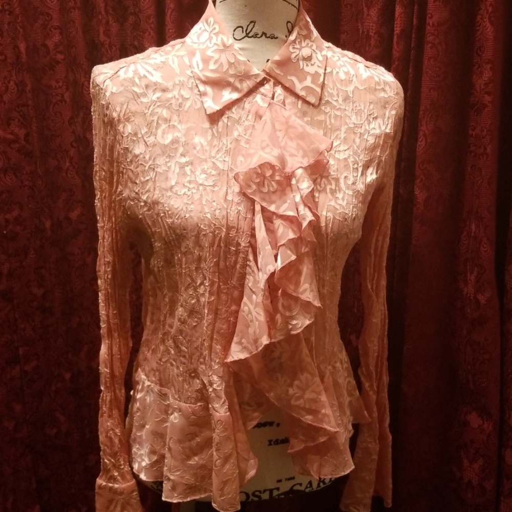 Sheer Elegant Top